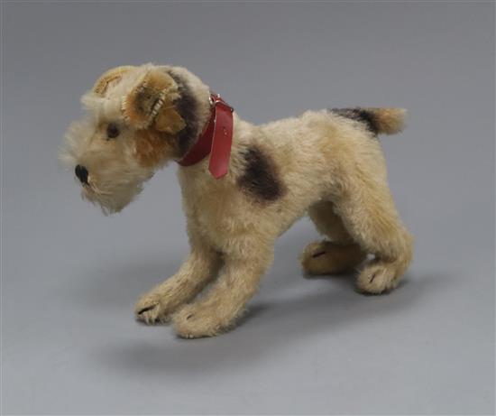 A Steiff dog, original collar, button in ear 1950s height 15cm